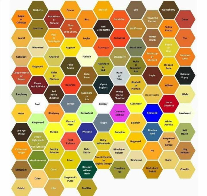 Pollen Chart