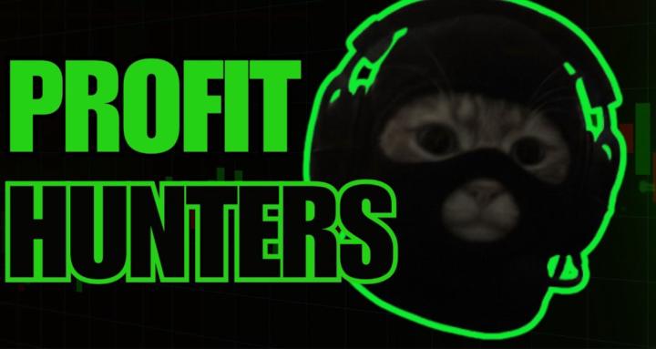ProfitHunters CS2