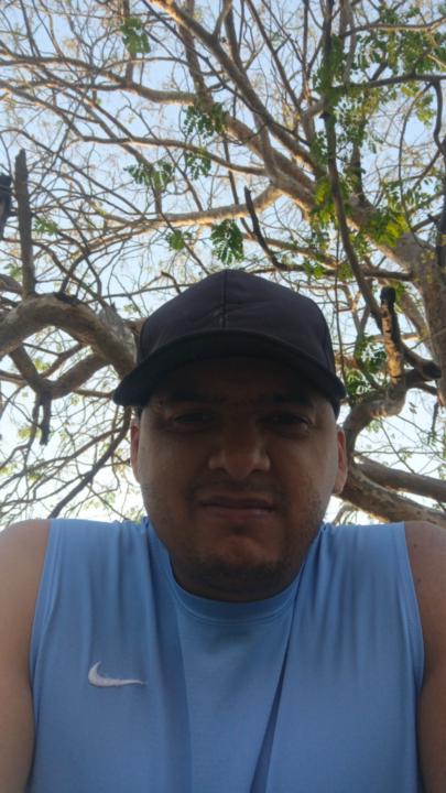Luis Alfredo Torrealba Torres