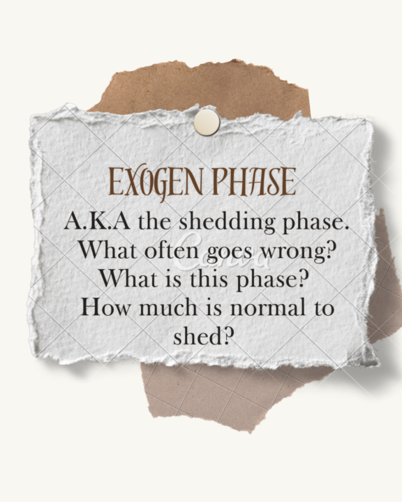 1 OF 4 GROWTH PHASES