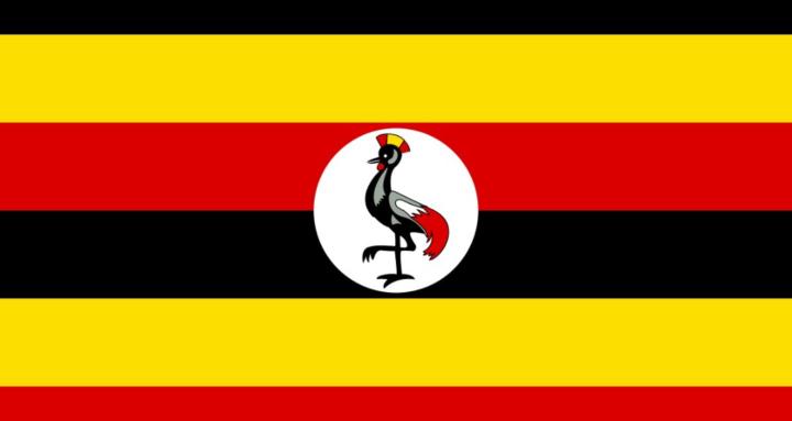 The Ugandan Skool Community