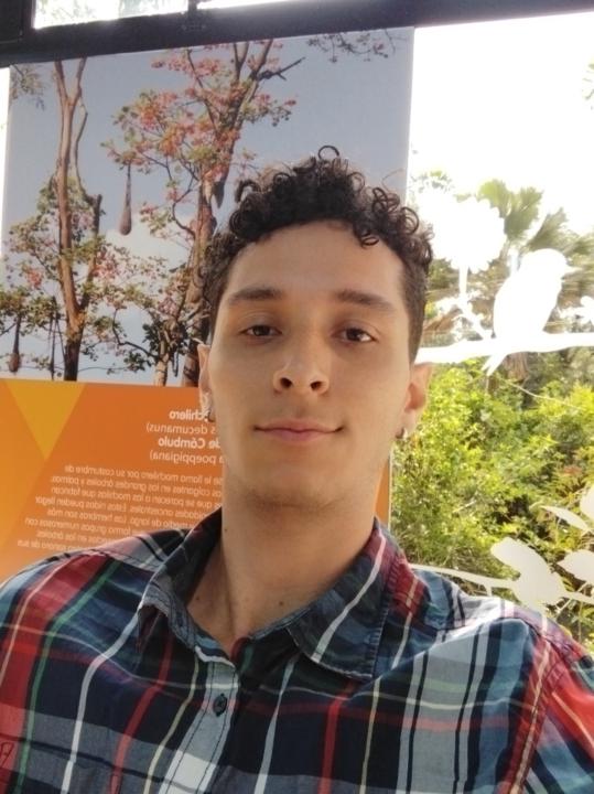 Mateo Bedoya