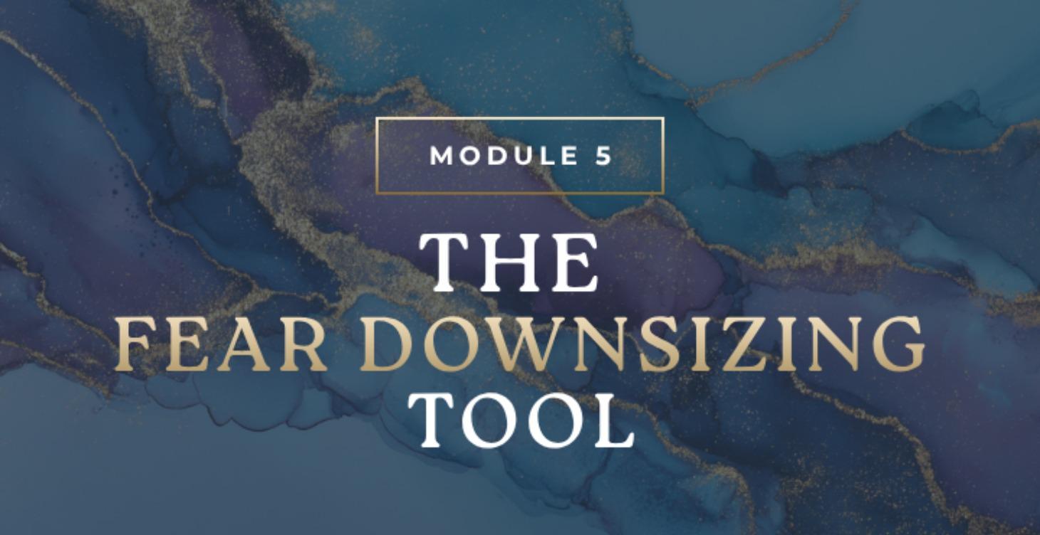 Fear Downsizing Tool