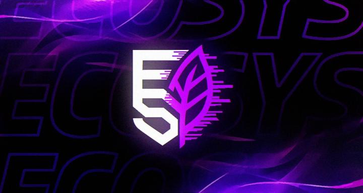 ECOSYS