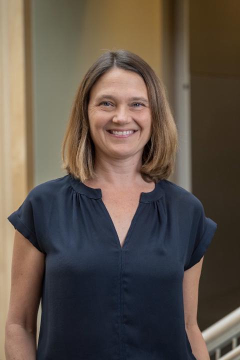 Ann Verhey-Henke