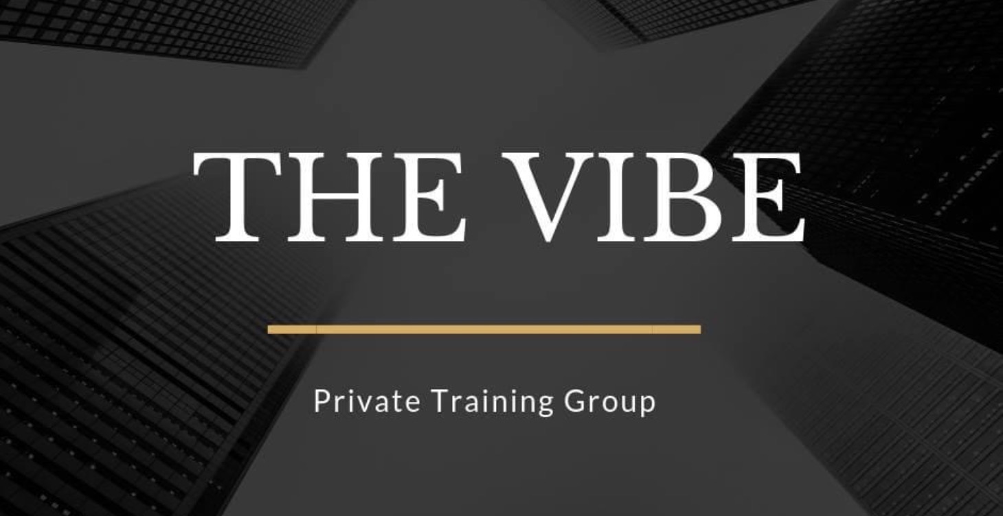 The VIBE Program