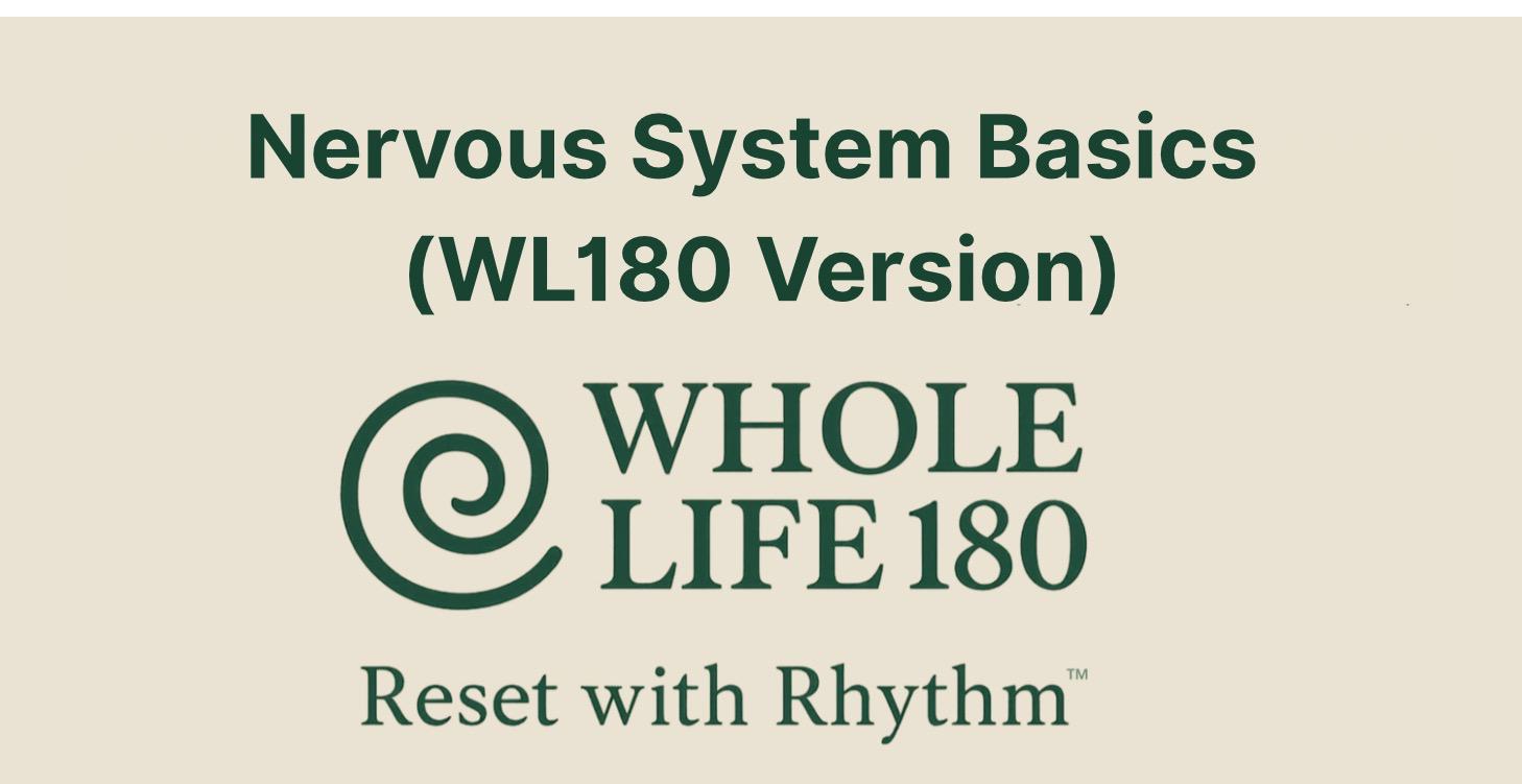 Nervous System Basics (WL180 Version)