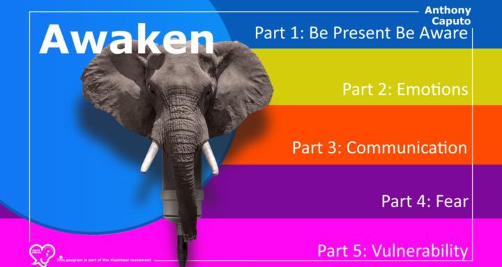 Awaken Program by I am Hear