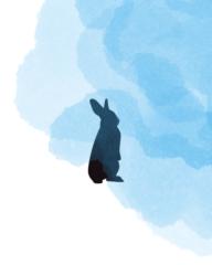 Pavla Nguyen Nováková