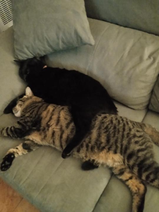 Isaac González Santamaría