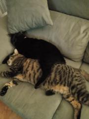 Isaac González Santamaría