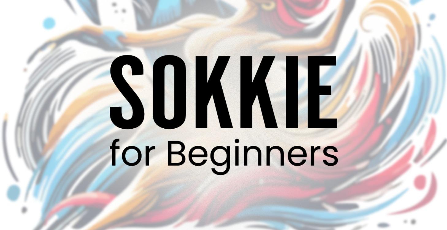 Sokkie for Beginners