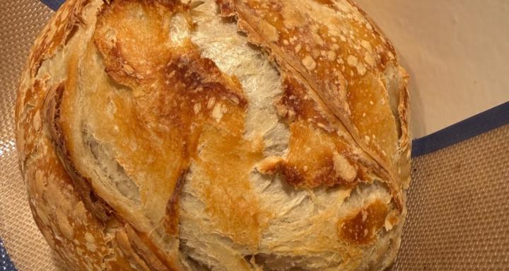Sourdough Starters