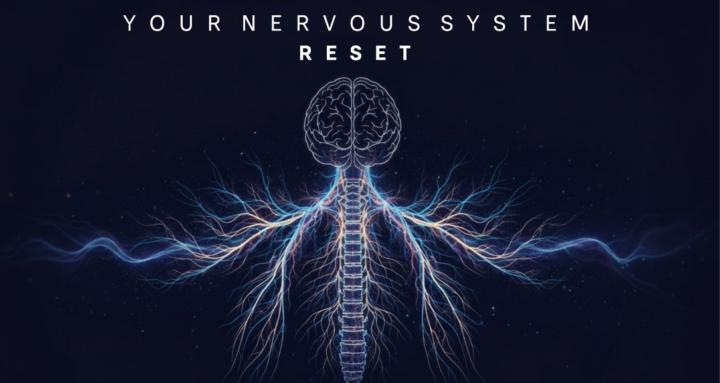 Your Nervous System Reset