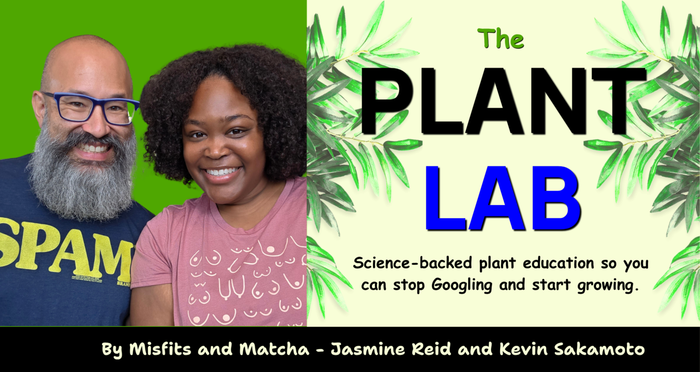 Misfits & Matcha Plant Lab