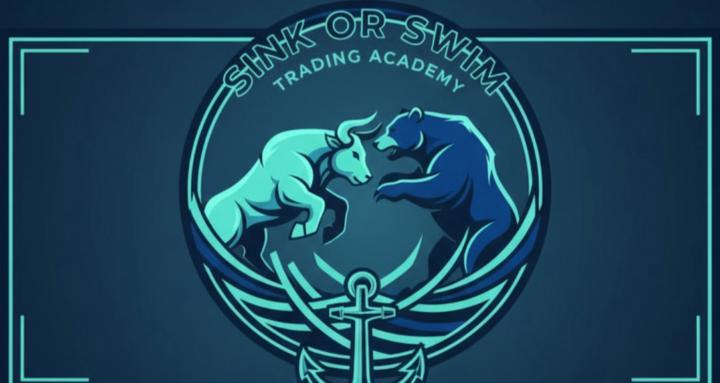 Sink Or Swim Trading Academy 