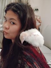 Stella A