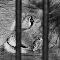 Agnieszka Rasztubowicz