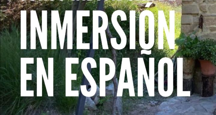 Tu profesor de español 