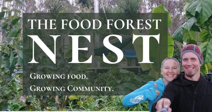 The Food Forest Nest 