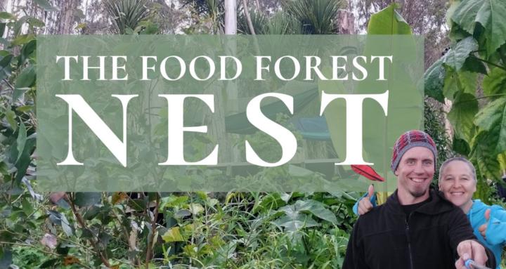 The Food Forest Nest 