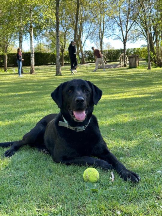 Hugo Sandoval Aguilera