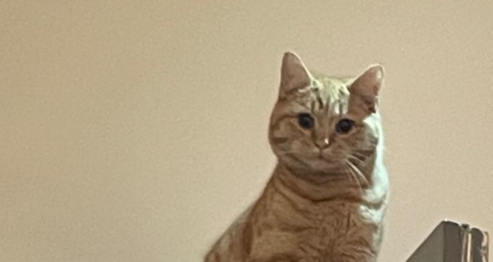 Creativity is the key 🔑