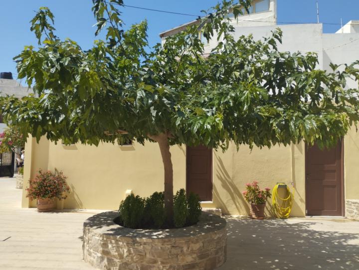 Fatima zora Boumedine