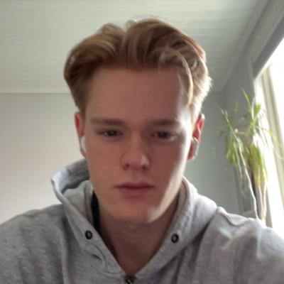 Theo Lindh