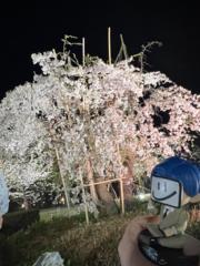 顏 椿