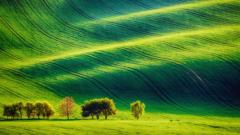 María José del Campo