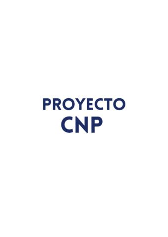 Proyecto CNP Skool gallery image