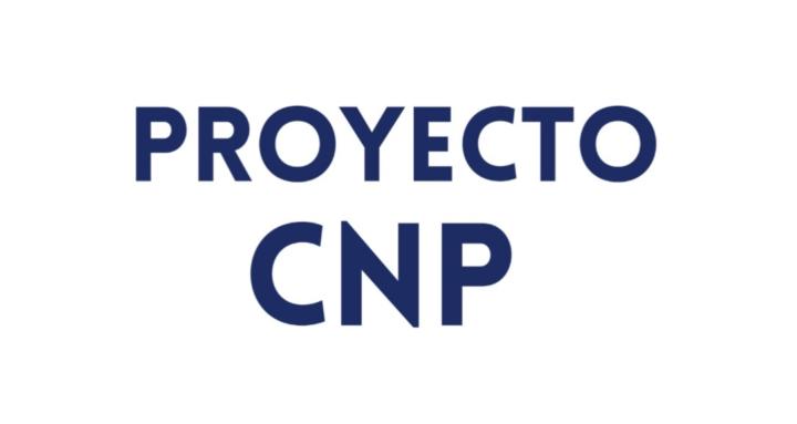 Proyecto CNP Skool