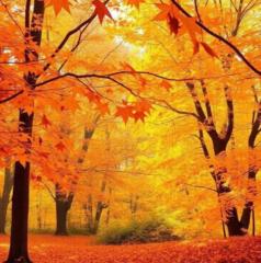 Tserendejid Enkhbayar