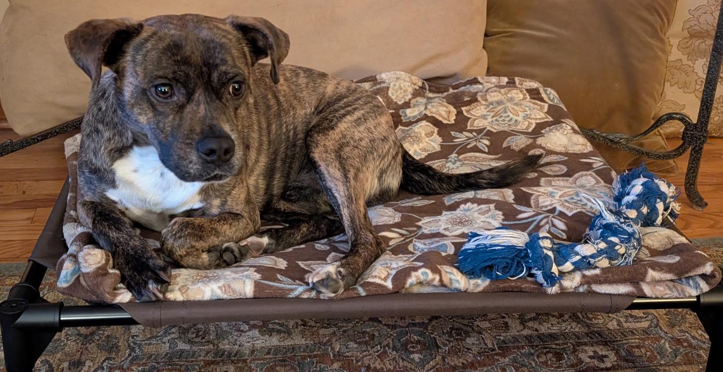 Case Study 316  -  Spruce - Full Board and Train