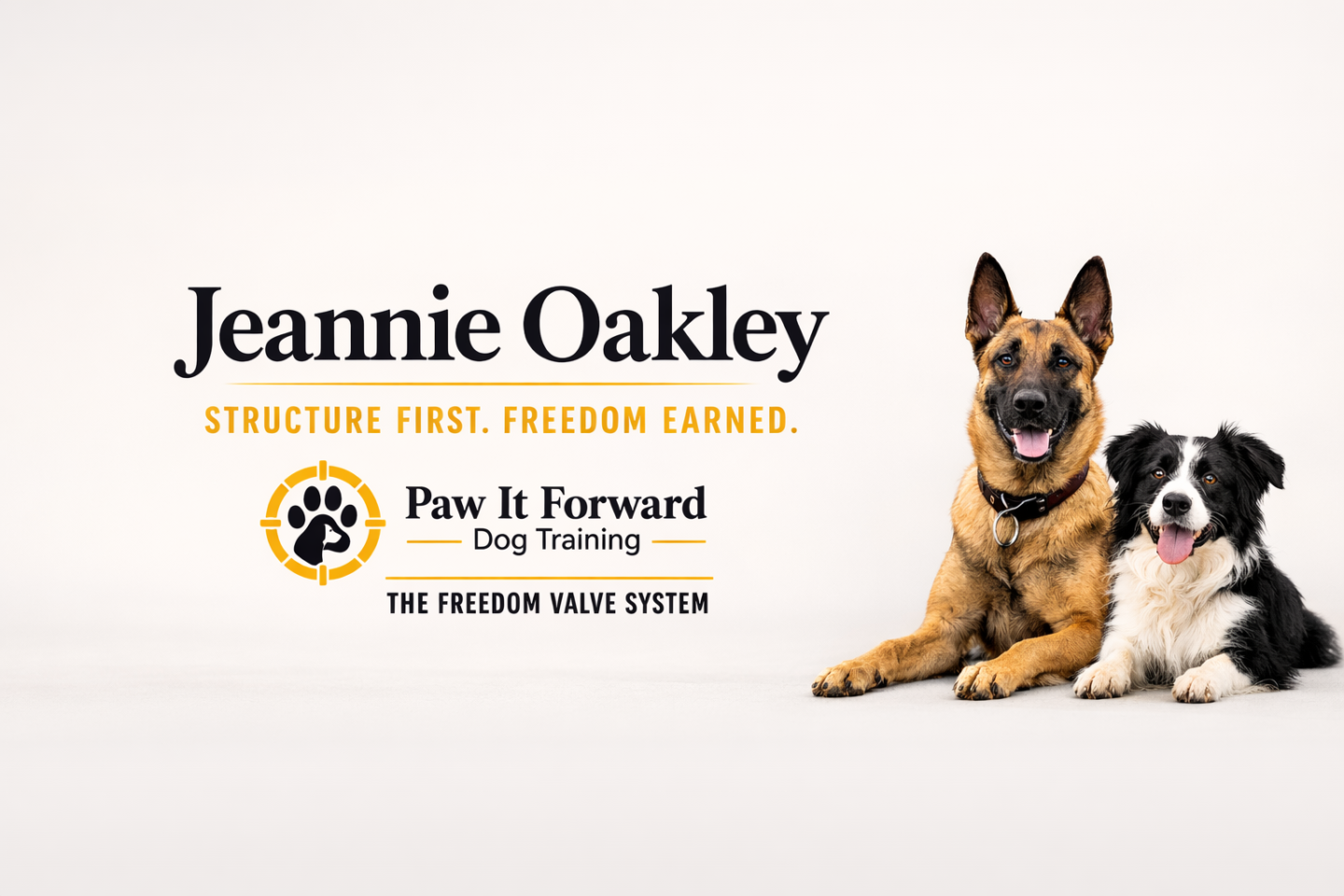 The Freedom Valve System