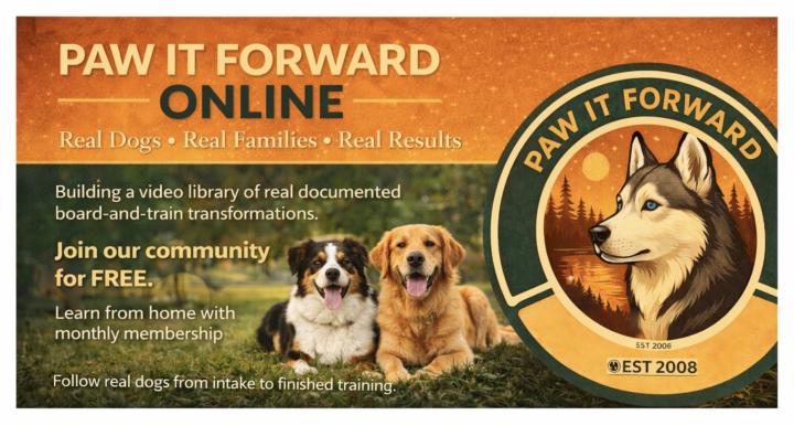 Bad Behavior is addressed before obedience  