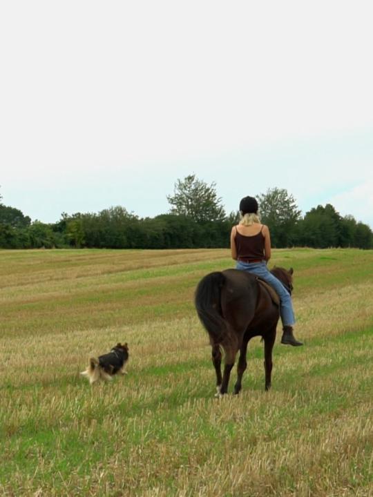 Lina Friedrich - Balabanovic