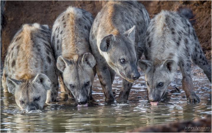 📸 Photo Gallery & Critiques - Let's See What You've Got