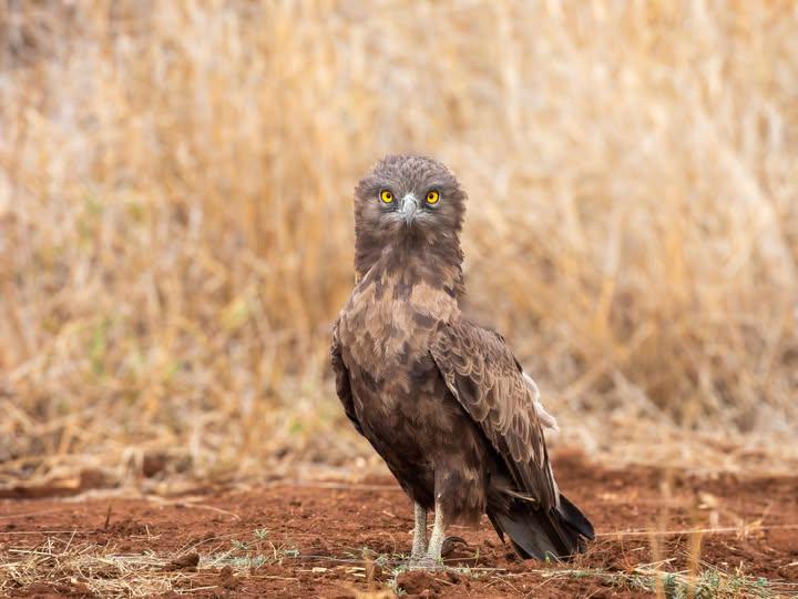 🎯 Wins & Sightings - Brag Zone (We Actually Want You To)