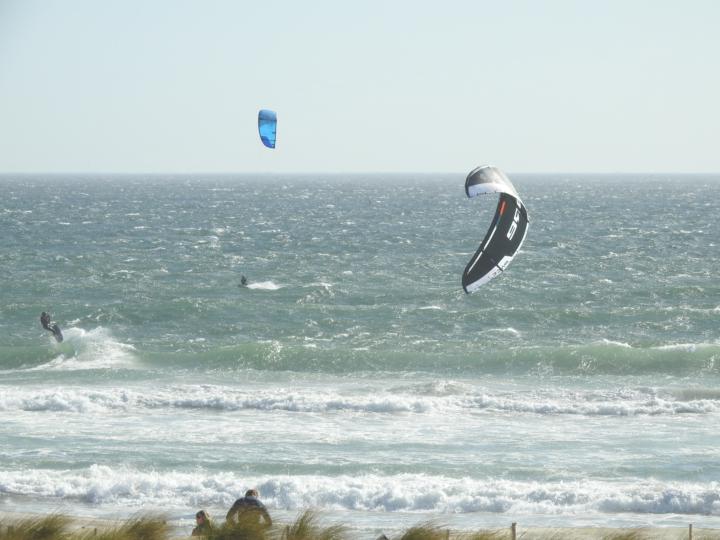 Chapter Three: A Day Early, A Museum Late, and a Kestrel That Didn't Wait