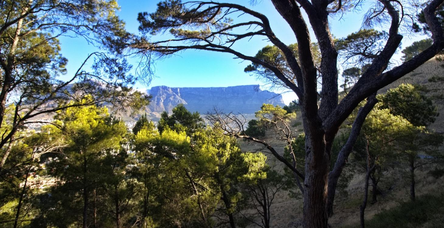 Wild South Africa: Field Notes From a 5k Journey