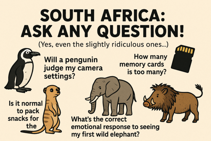 South Africa: Ask any question