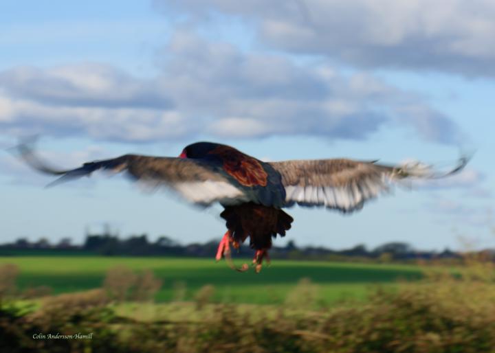 CAN YOU GUESS THE MISTAKE I MADE?