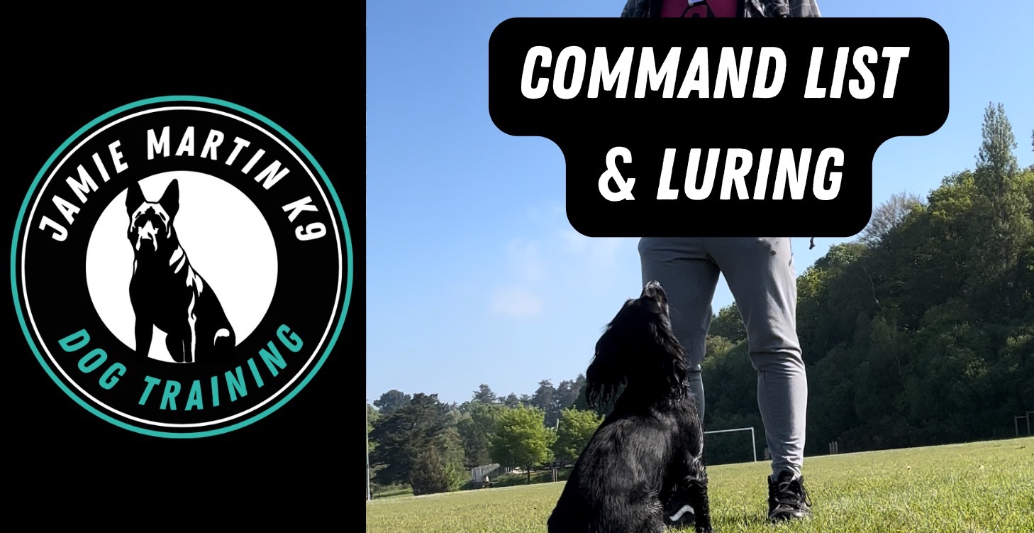COMMANDS & LURING