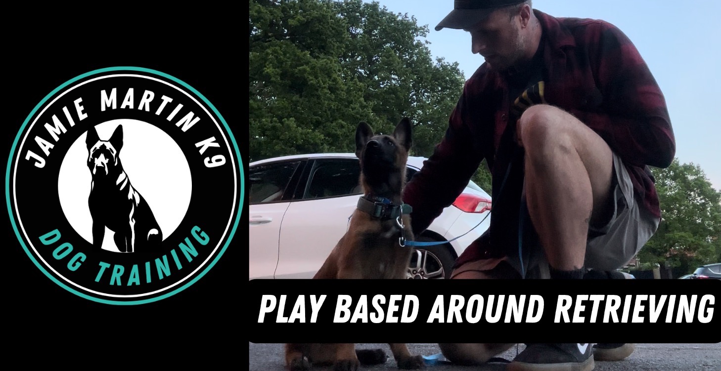 HOW TO PLAY - RETRIEVING EDITION