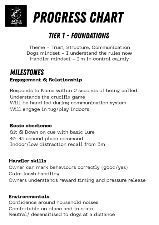 Level up with Jamiemartink9 standards 