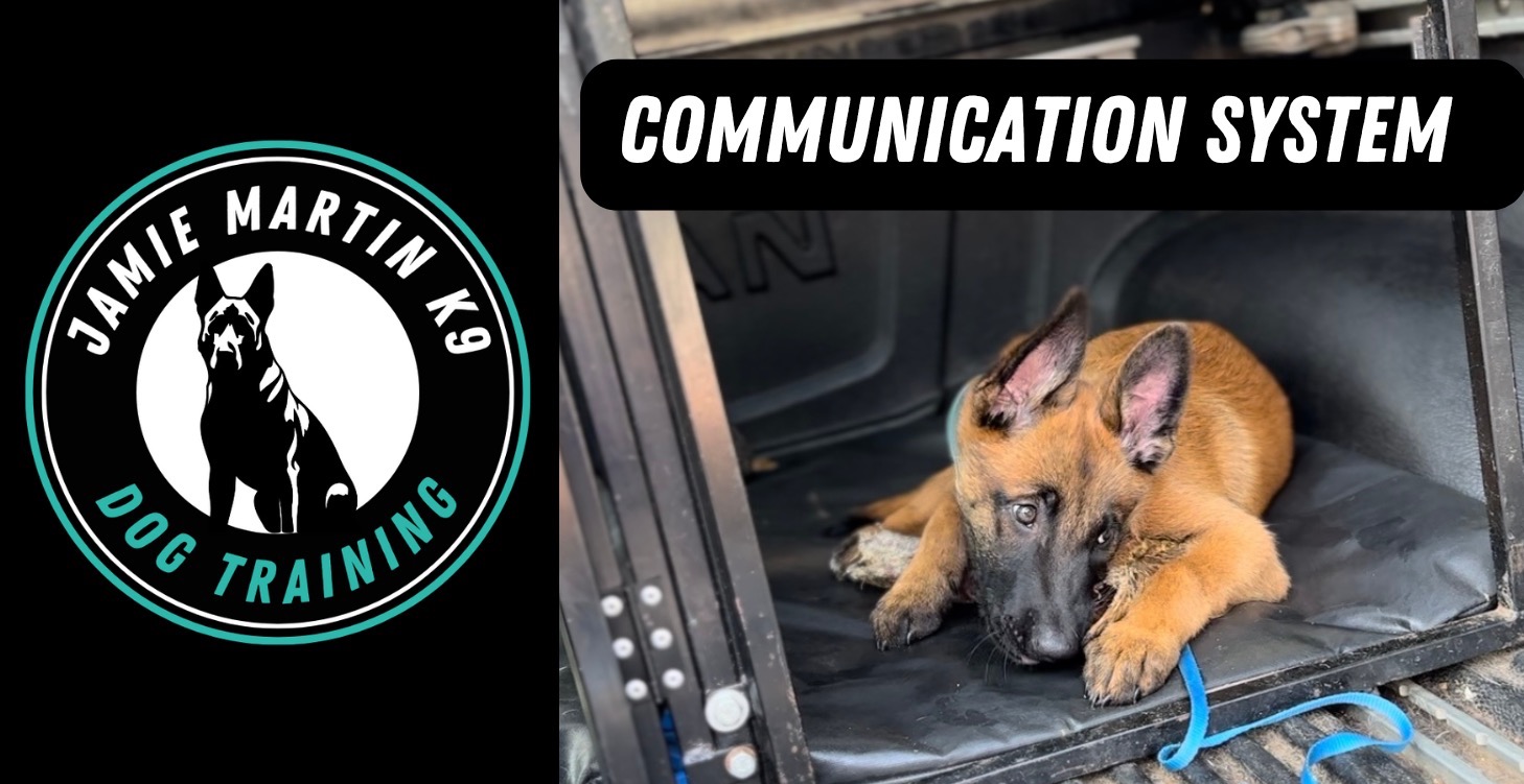 COMMUNICATION & ENGAGEMENT