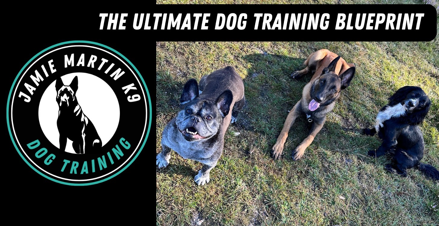 The Ultimate BluePrint