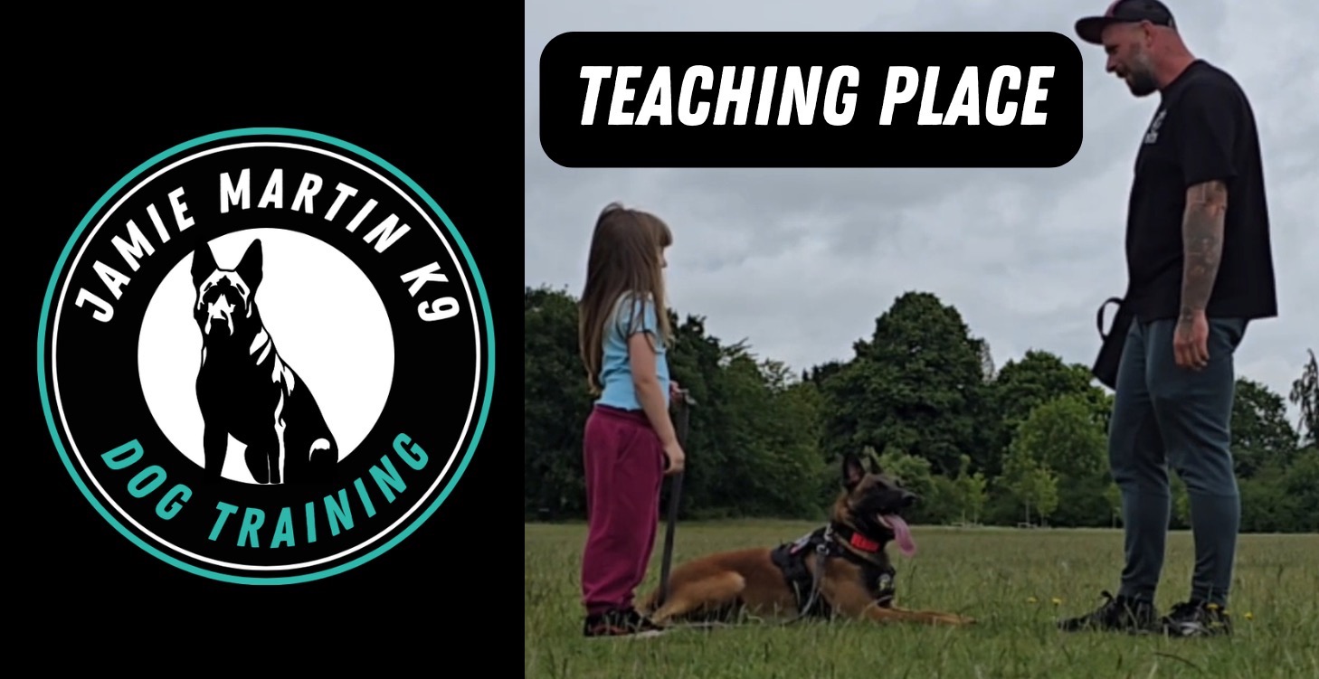 TEACHING PLACE COMMAND